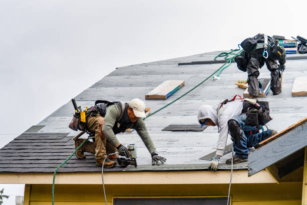 Professional Roof Installation technician working in Chataignier, LA